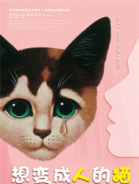 【小橙堡】家庭音乐剧四季剧团首部海外授权中文版音乐剧《想变成人的猫》-石家庄站