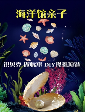 【海洋馆亲子活动】识贝壳，做标本，DIY-北京站