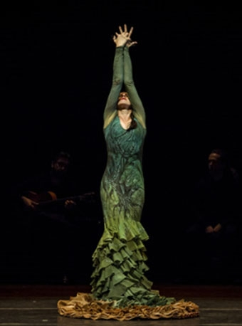 西班牙玛利亚·佩姬舞团《心灵之舞》
