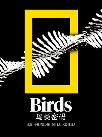 华夏地理鸟类密码展