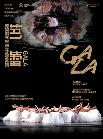 【第二届西安国际舞蹈节】德国图林根国立芭蕾舞团Gala