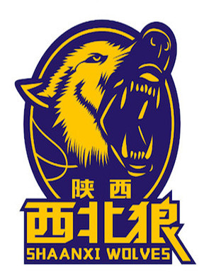 【渭南站】2019全国男子篮球联赛(NBL)半决赛