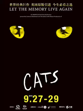 今生必看之选·世界经典原版音乐剧《猫》CATS -海口